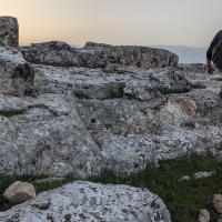 PXL_20230407_154620531