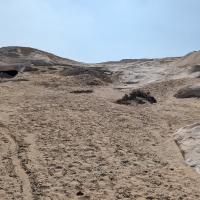 PXL_20240209_094910926