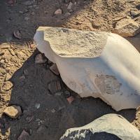 Elephantine Island