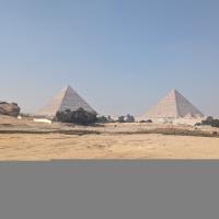 PXL_20240207_110320048