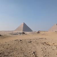 PXL_20240207_122852408