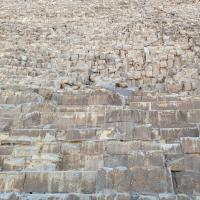 PXL_20240208_092828439