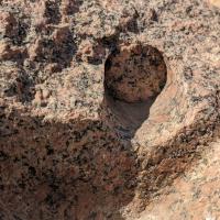 PXL_20240208_103759379