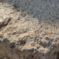 PXL_20240221_083210652