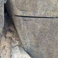 PXL_20240221_084648696