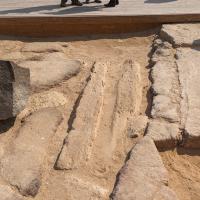 PXL_20240221_085030207