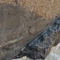 PXL_20240221_085123518