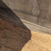 PXL_20240221_085203887