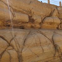 PXL_20240221_103435366