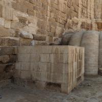 PXL_20240221_103754990