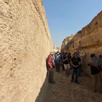 PXL_20240221_114353031