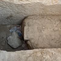 PXL_20240221_114518167.MP