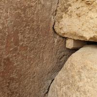 PXL_20240304_060618131