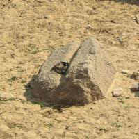 PXL_20240304_082302337