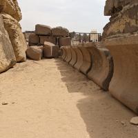 PXL_20240317_090253581