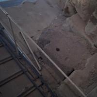 PXL_20240317_174648809.NIGHT