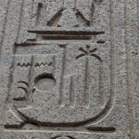 PXL_20240309_093844235