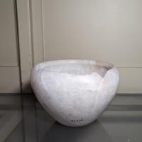 PXL_20240211_110059895