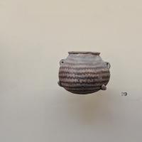 PXL_20240211_113013843