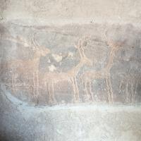 PXL_20240218_085022782