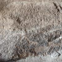 PXL_20240218_085102292
