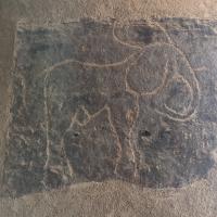 PXL_20240218_085440222