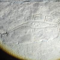 PXL_20240218_085508775