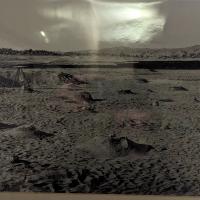 PXL_20240218_101542380