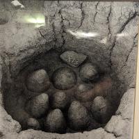 PXL_20240218_101629044