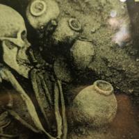 PXL_20240314_091436057