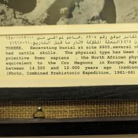 PXL_20240314_092602855
