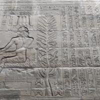 PXL_20240217_062617849.MP